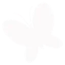 S2_butterfly