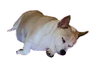 endit
