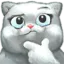 Thinkingkitty Discord Emoji