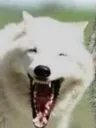 emote1