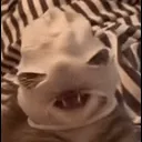 465546f7df8b6686a509cf1fb6f19693