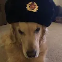 Russian_Dog