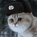 Russian_Cat
