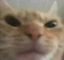 stoptalking