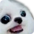 Echh