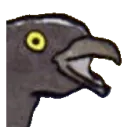 rulescrow rulescrow