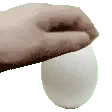 PETTHEEGG