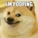 pooping