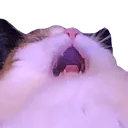 MAH MAH
