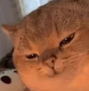 hola