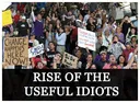 useful_idiots