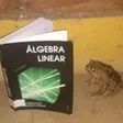 nb_peepoNerd