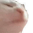 catJAM