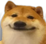 PR_poker_dog Discord emoji