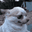 PR_dog Discord emoji