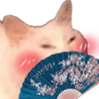 catwithfan