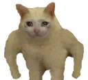 Sadstand