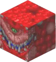 Cacube Cacube