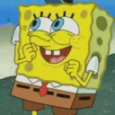 spongeExcite