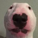 walter