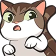 catWot catWot