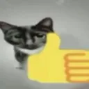 thumbsupcate