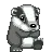 badgerdance