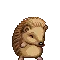 hedgehogdance