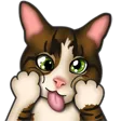 flakygDerp