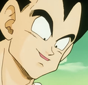 vegetawhat Discord emoji