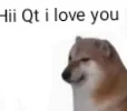 ily