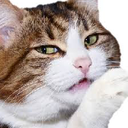 pav_meh Discord emoji