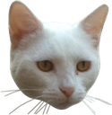 Prippit Discord emoji