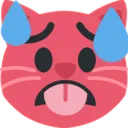 hot_cat