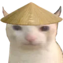 bruh_cat_2 bruh_cat_2