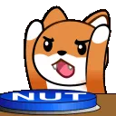 nut