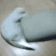 1CatSpin Discord emoji