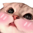 TEA_3blush Discord emoji