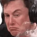 elon1