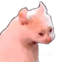 kitty_scream kitty_scream