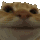 Catno Discord Emoji