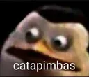 meme_catapimbas Discord Emoji