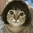 cat_legauu Discord Emoji