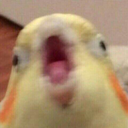 TAL_scrEEEECH Discord emoji