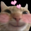 uwucat Discord emoji