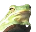 Froghmm FrogHmm Discord Emoji