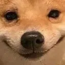 dogsmile