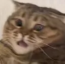 ohshit