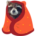 RocketInABlanket