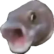 pogfish pogfish